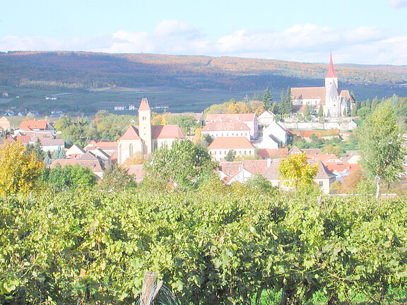 Headerbild